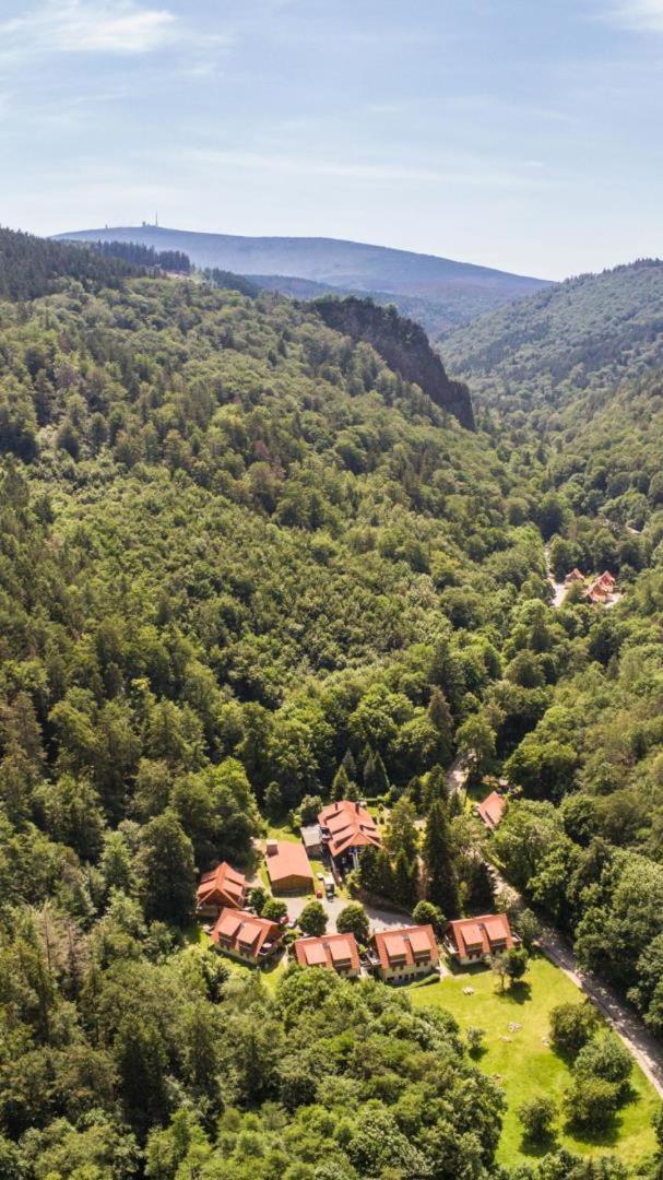 Ferienwohnung Ferienhaeuser Am Brocken, 60 Qm 2 Schlafzimmer Ilsenburg Dış mekan fotoğraf