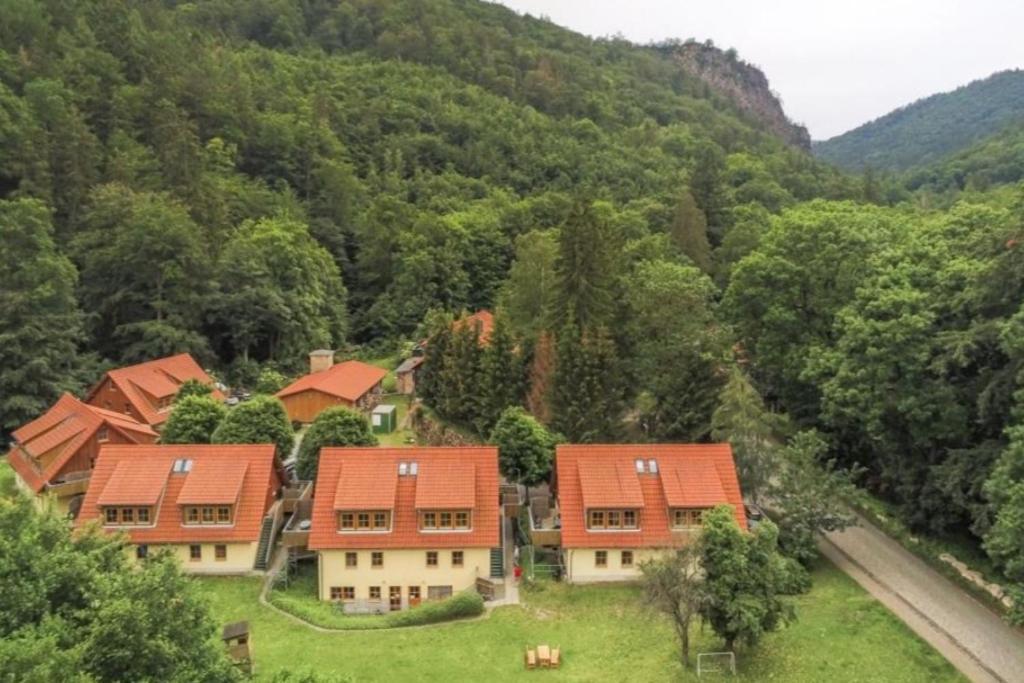 Ferienwohnung Ferienhaeuser Am Brocken, 60 Qm 2 Schlafzimmer Ilsenburg Dış mekan fotoğraf